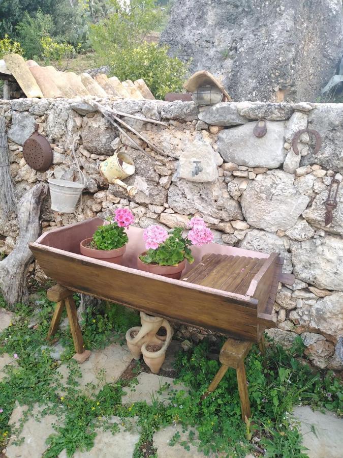 Il Corbezzolo Suite Appartament Castelluzzo Exteriör bild