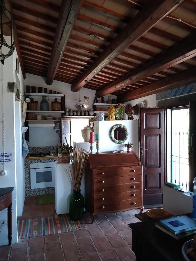 Il Corbezzolo Suite Appartament Castelluzzo Exteriör bild